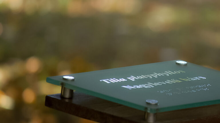 preview-menu7ref-kozep-015